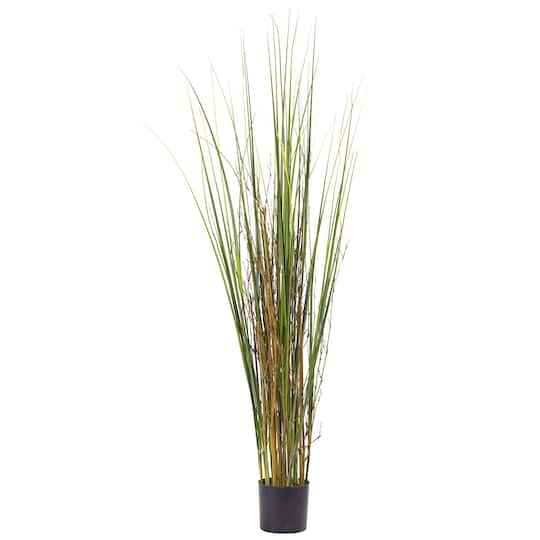 4ft. Potted Grass &#x26; Bamboo Plant